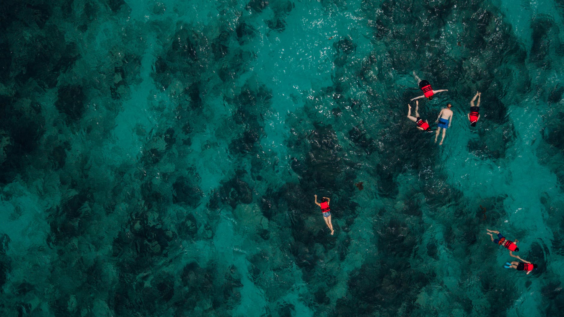 people snorkeling in deep water