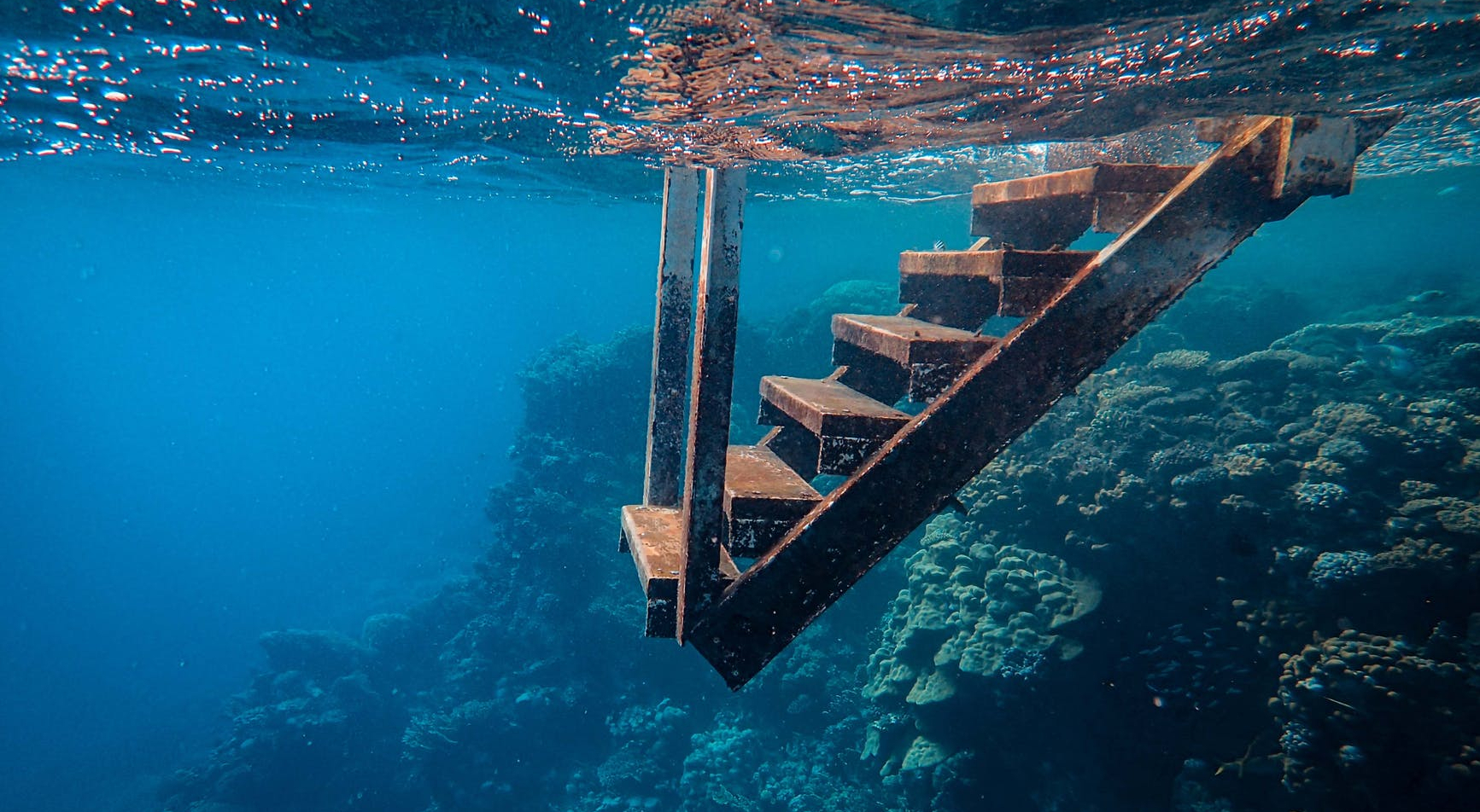 view of wooden steps taken underwater